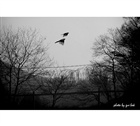 dailyPhoto23