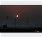 dailyPhoto39