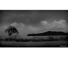 dailyPhoto7