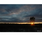 dailyPhoto22