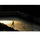 dailyPhoto13