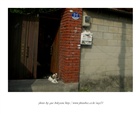 dailyPhoto32