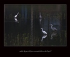 dailyPhoto40
