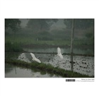 dailyPhoto6