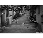 dailyPhoto1