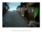 dailyPhoto1