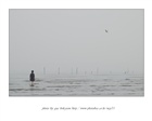 dailyPhoto11