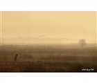 dailyPhoto14