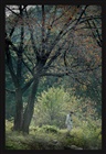 dailyPhoto5