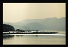 dailyPhoto12