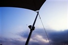 dailyPhoto8