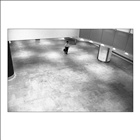 dailyPhoto1