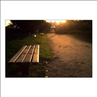 dailyPhoto33