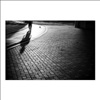dailyPhoto35