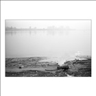 dailyPhoto19