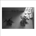dailyPhoto36
