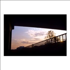 dailyPhoto10