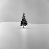 dailyPhoto33