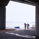 dailyPhoto15
