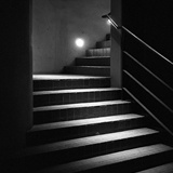 dailyPhoto20