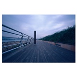 dailyPhoto40
