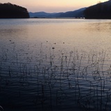 dailyPhoto11