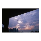 dailyPhoto29