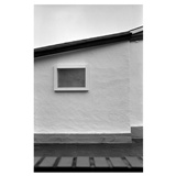 dailyPhoto9