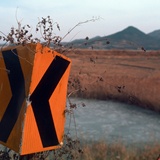 dailyPhoto10
