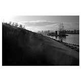 dailyPhoto40