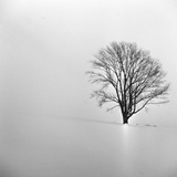 dailyPhoto16