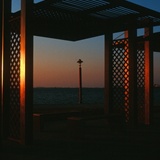 dailyPhoto3