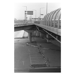 dailyPhoto6