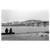 dailyPhoto14
