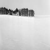 dailyPhoto6