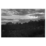 dailyPhoto4