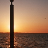 dailyPhoto26