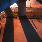 dailyPhoto29