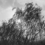 dailyPhoto19