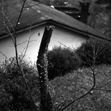 dailyPhoto13