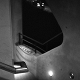 dailyPhoto8