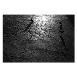 dailyPhoto12