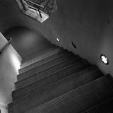 dailyPhoto1