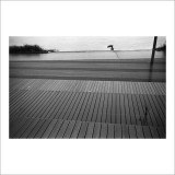 dailyPhoto8