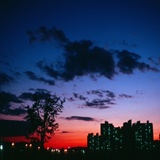 dailyPhoto20
