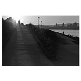 dailyPhoto9