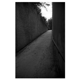 dailyPhoto36