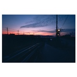 dailyPhoto31