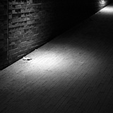dailyPhoto17