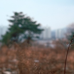 dailyPhoto5